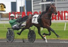 Ecurie D is terug en lijkt beter dan ooit