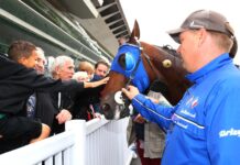 Toppaard Etonnant in documentaire op NPO2