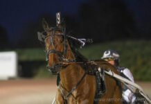 Galway Danica en Erik van den Bergh winnen ook in Reims