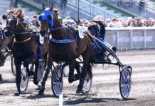 Etonnant weer grote ster op Vincennes