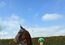 Even voorstellen: Bembi Boom