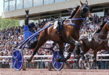 Grote Prijs der Giganten trekt wereldkampioen