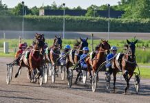 Friese trots Hiltje Tjalsma jaagt op derde Europese titel in eigen huis