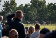 Zinderende Zomerdraverijen in Aduard