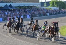 Familiedag op Victoriapark Wolvega belooft spektakel met topkoersen en zomerse sfeer